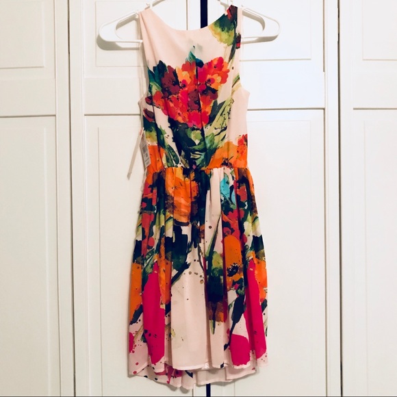 NWT Blush Floral Dress - Picture 5 of 7